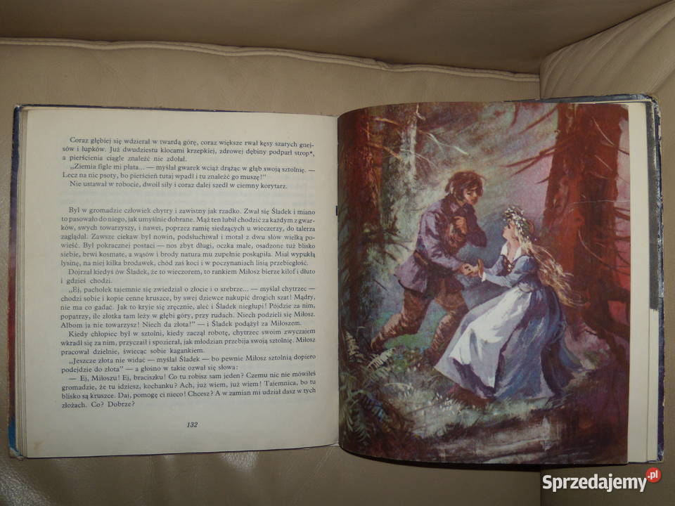 Sztolnia w Sowich Górach Kornelia Dobkiewiczowa Warszawa sprzedam