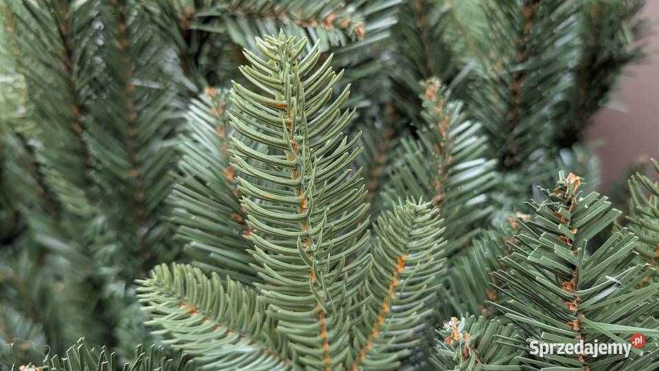 Choinka sztuczna PURE LIVING INTERIOR DESIGN 220 Jadowniki sprzedam