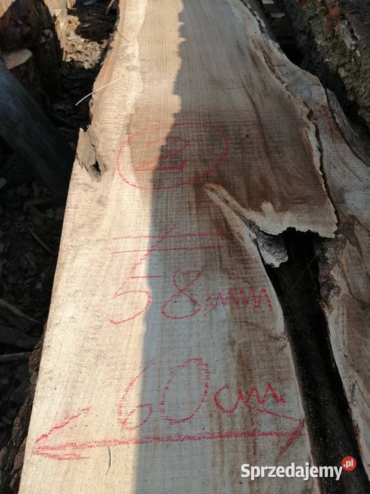 monolit dąb 245x65x65 stolik kawowy live edge Przysucha