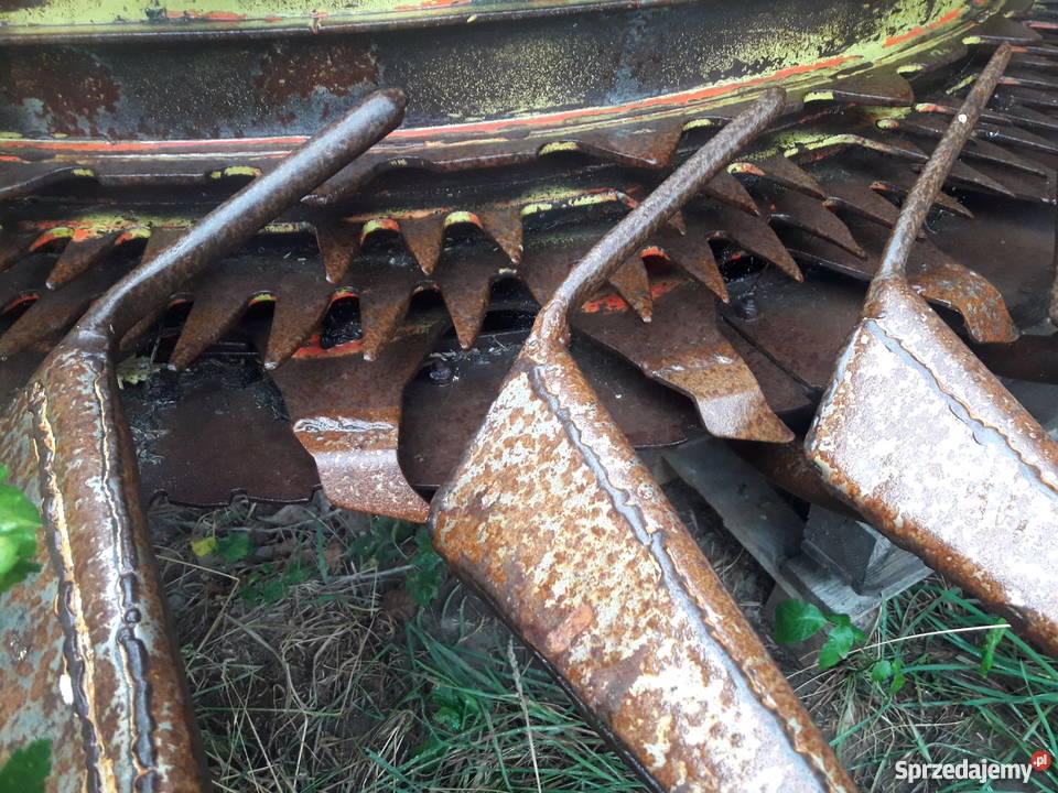 SPRZEDAM KEMPER CHAMPION 3000 Sieczkarnie wielkopolskie Popowo Stare