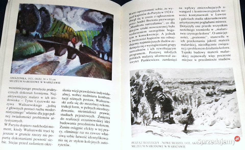 Abc Zygmunt Waliszewski Joanna Krzymuska miękka Chełm