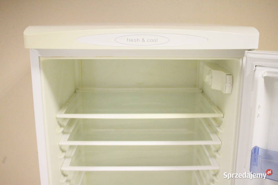 Lodówka Gorenje R6298W wolnostojące Pszczyna