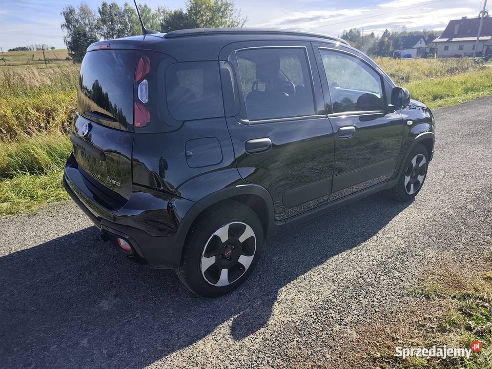 Fiat Panda Rok produkcji 2024 Kostarowce