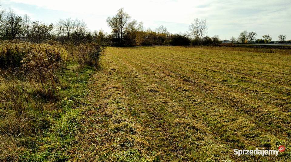 Kąty działka rolna możliwość podzielenia 4000m2 mazowieckie Sochaczew