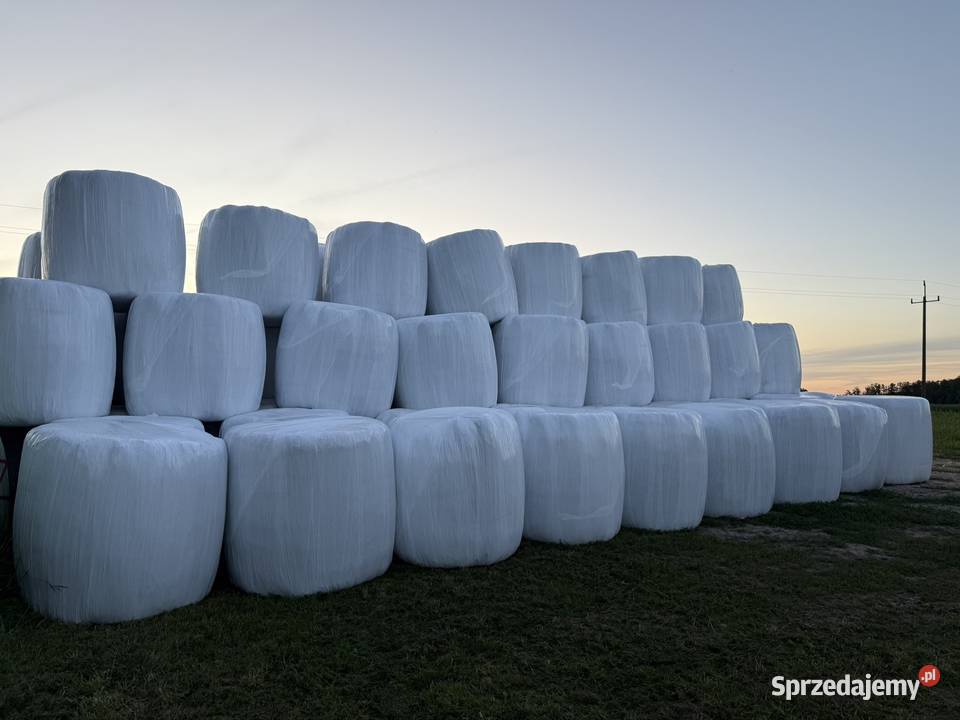 Bele sianokiszonki pierwszy pokos Bargłów Kościelny