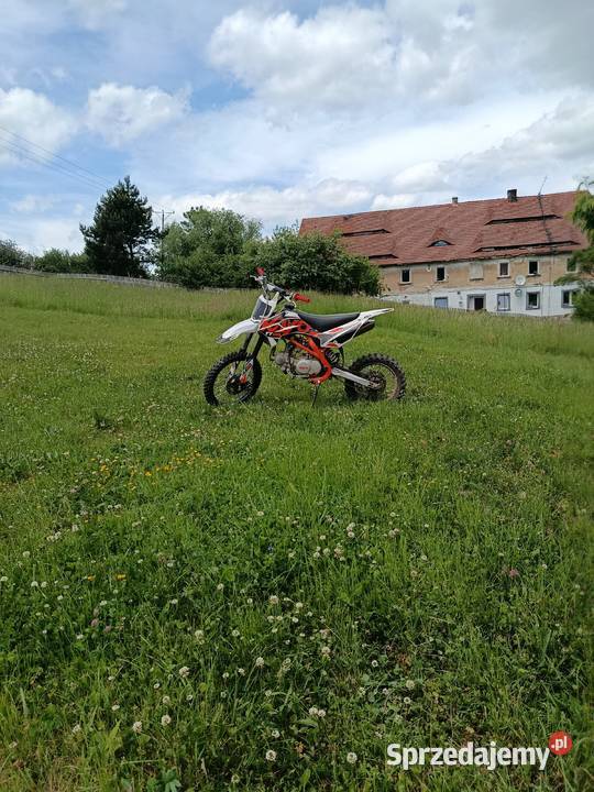Pit bike Kayo 140tt nieuszkodzony