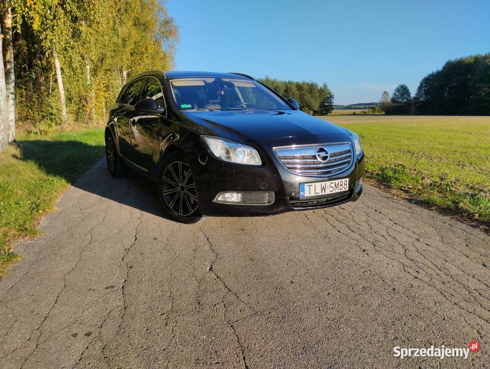 Opel Insignia 20 CDTI 2011 Rok produkcji 2011 świętokrzyskie Włoszczowa