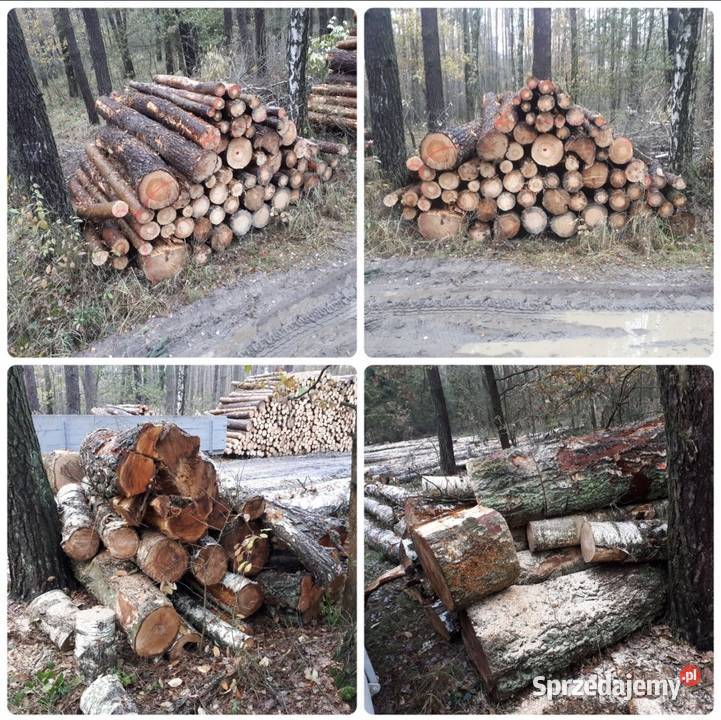 Drewno opałowe kominkowe transport drewna Opał Międzybórz