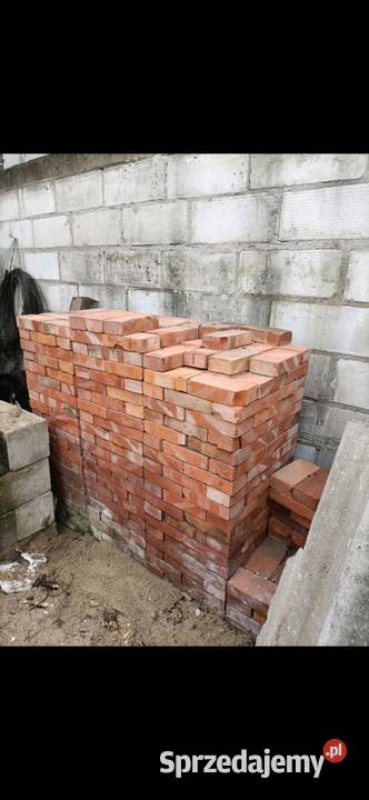 Cegla 170 sztuka Tomaszów Lubelski sprzedam