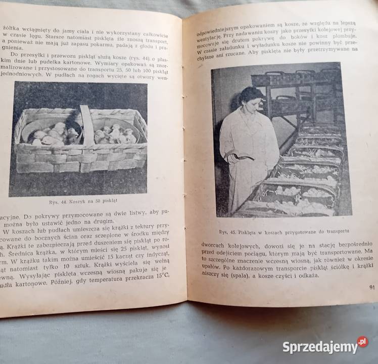 Inż M Czekalińska Sztuczny wyląg drobiu PWRiL Koźminek