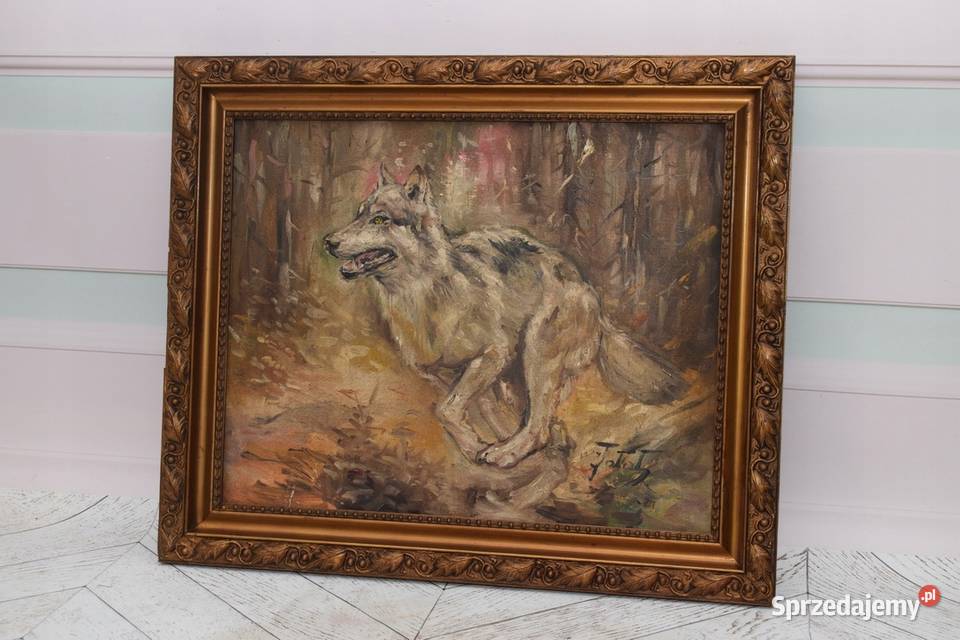 J Fałat Biegnący Wilk Wilczur Natura Polski Kraków