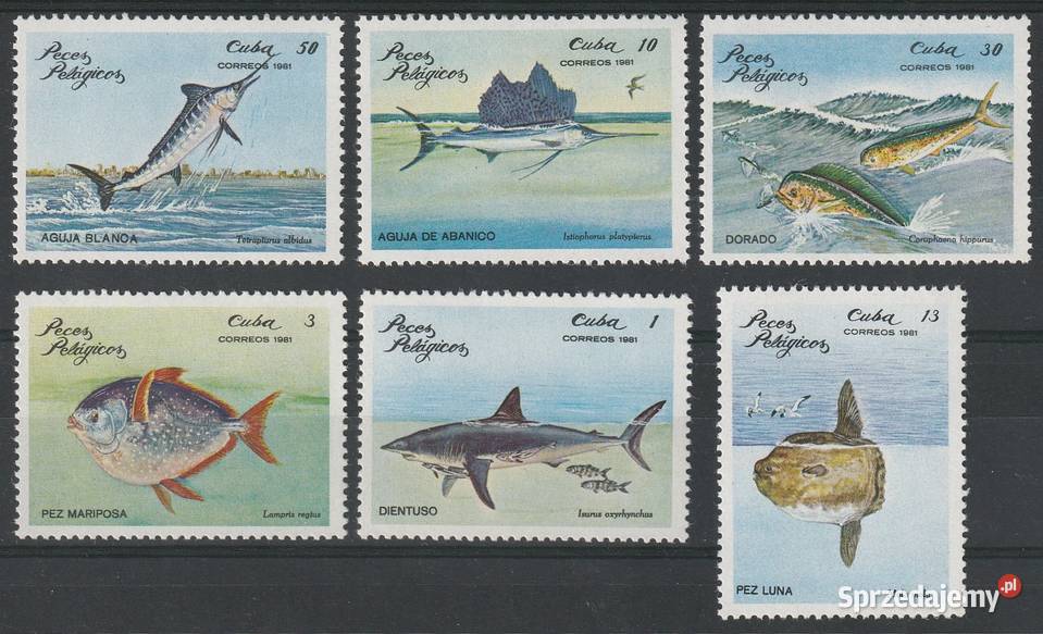 KUBA RYBY 1981 CZYSTE Kolekcje łódzkie Łódź
