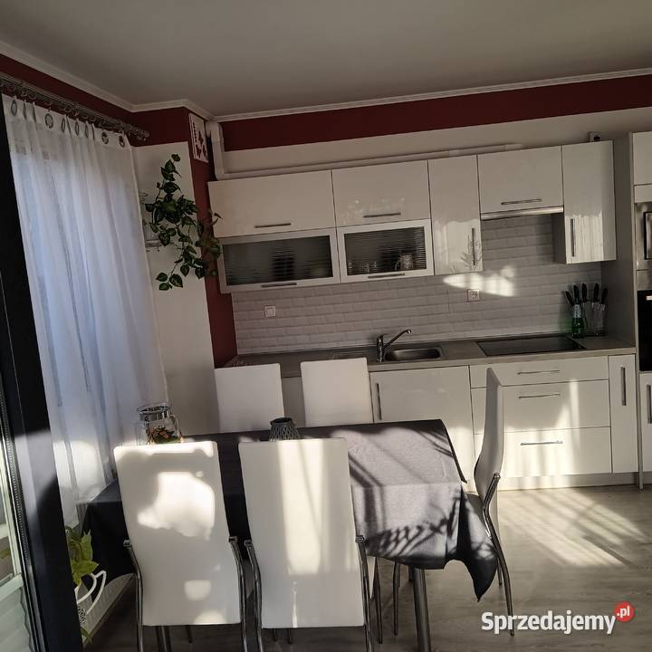 Wynajmę mieszkanie 52 m2 z ogródkiem 111 m2 Płock