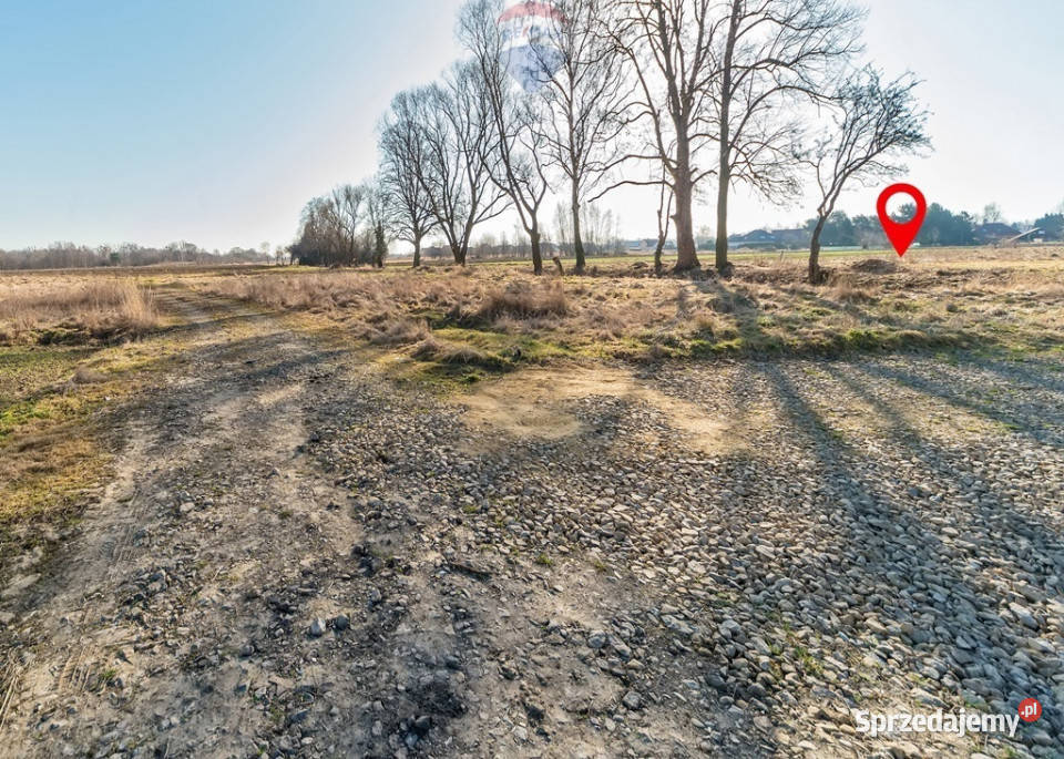 DZIAŁKA BUDOWLANA W BABICACH GMINA OŚWIĘCIM utwardzona