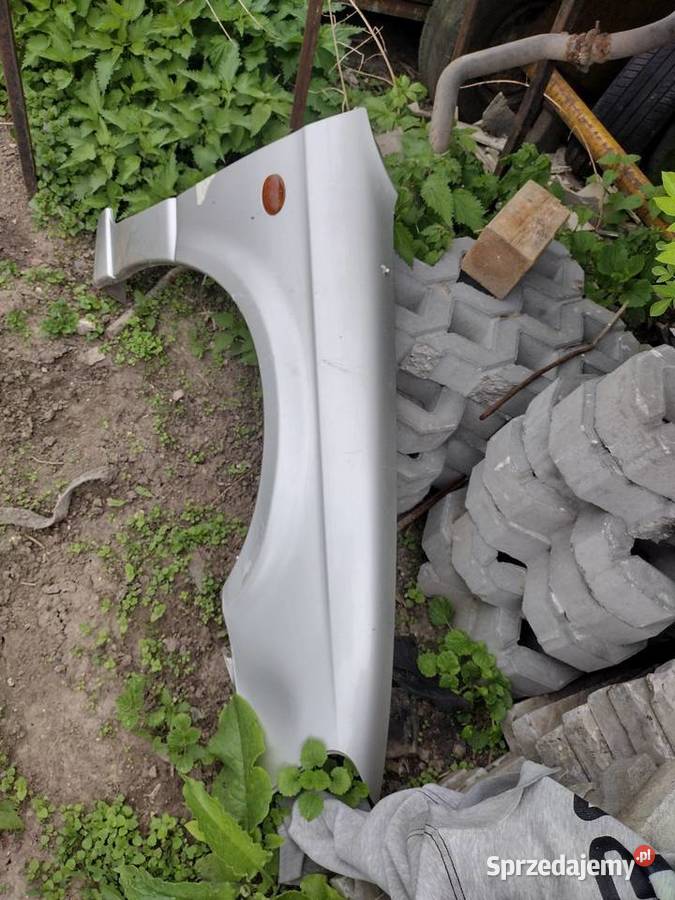 Błotnik Legacy 3 Błotniki lubelskie Tarnogóra-Kolonia