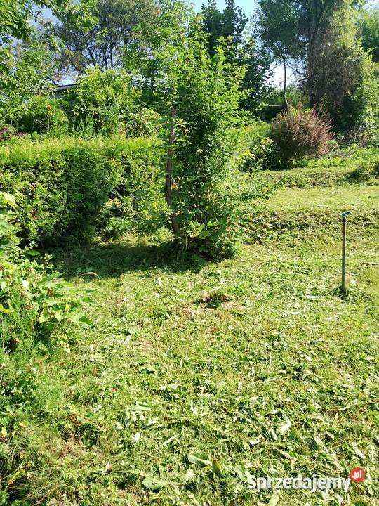 Działka ROD w Lipniku 310m2 Grunty i działki Bielsko-Biała sprzedam