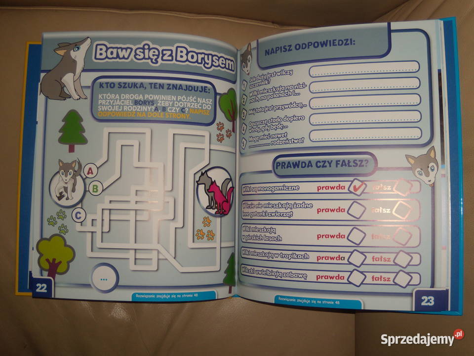 Wilk Borys Świat dzikich maluchów Książki dla dzieci Warszawa