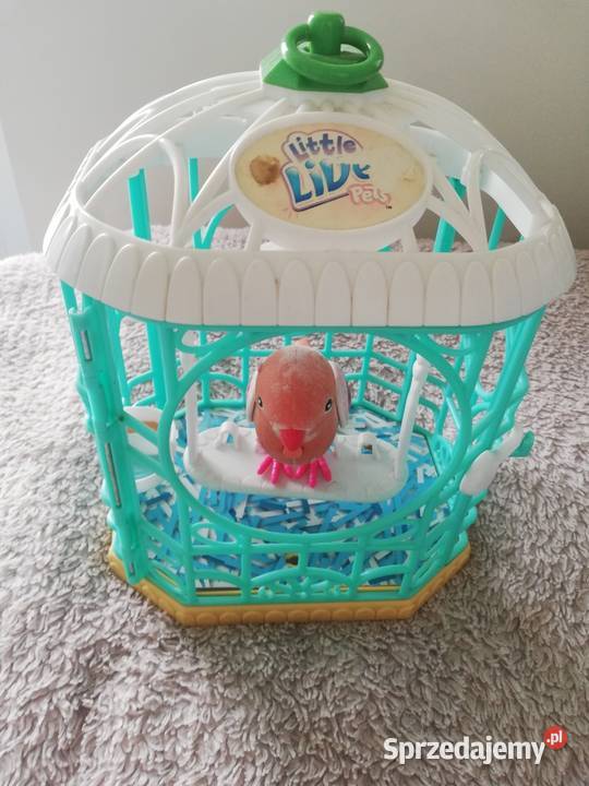 Zabawka interaktywna Ptaszek w klatce kolorowy Gdynia sprzedam