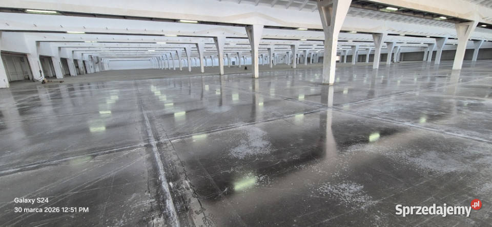 Hala magazynowa 12500m2 12500m2 łódzkie Ozorków