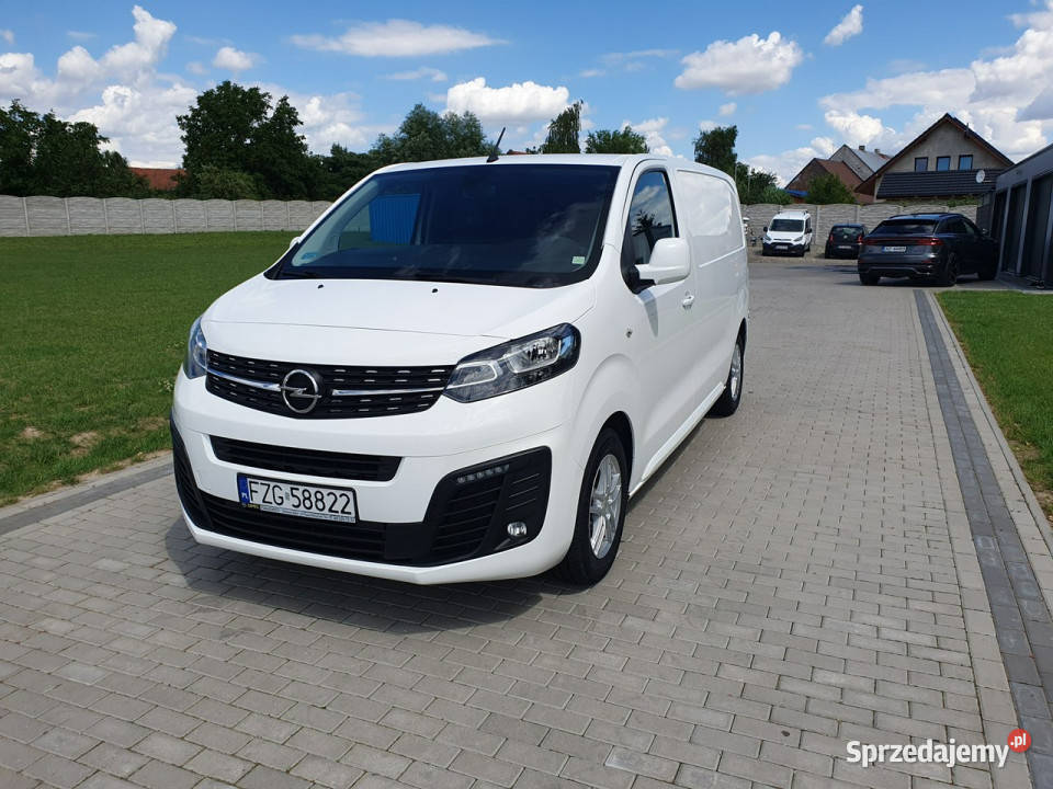 Opel Vivaro 15hdi Jumpy Expert Vivaro Proace czujnik parkowania Opel Strobice