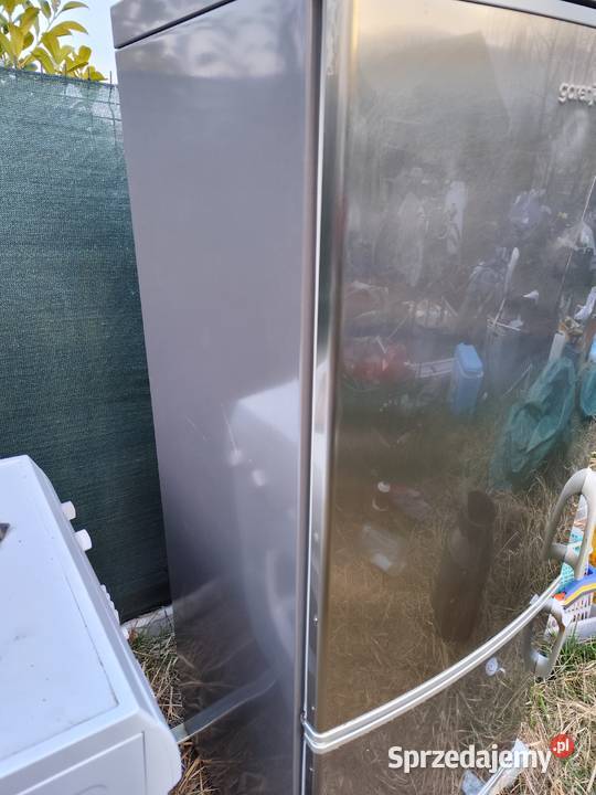 Lodówka zamrażarka Lubin