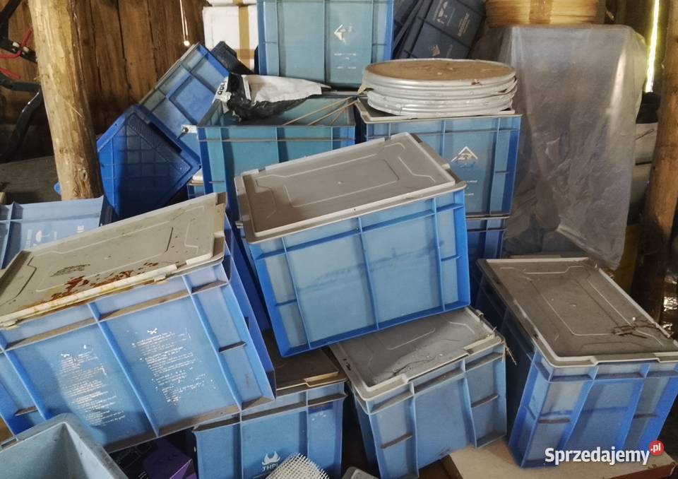 Skrzynka plastikowa Pojemnik plastikowy z Kielce