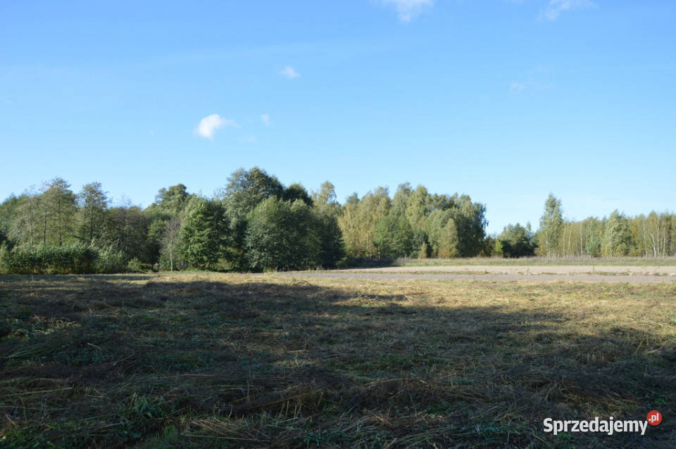 Duża działka Baranówka 21 a sprzedam