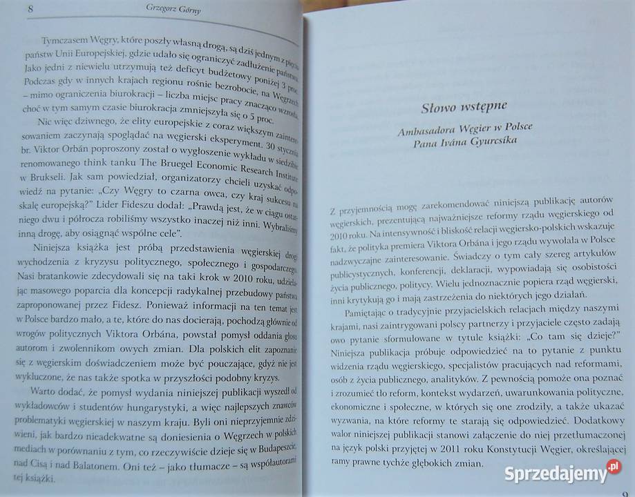 Węgry Co tam się dzieje Robert Jankowski książka Rok wydania 2013 sprzedam