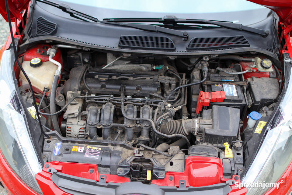 Ford Fiesta 1242 garażowany zadbany wielkopolskie Kościan