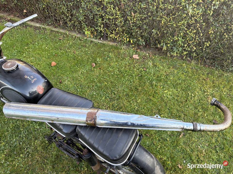 Wsk 175 dudekbąksport