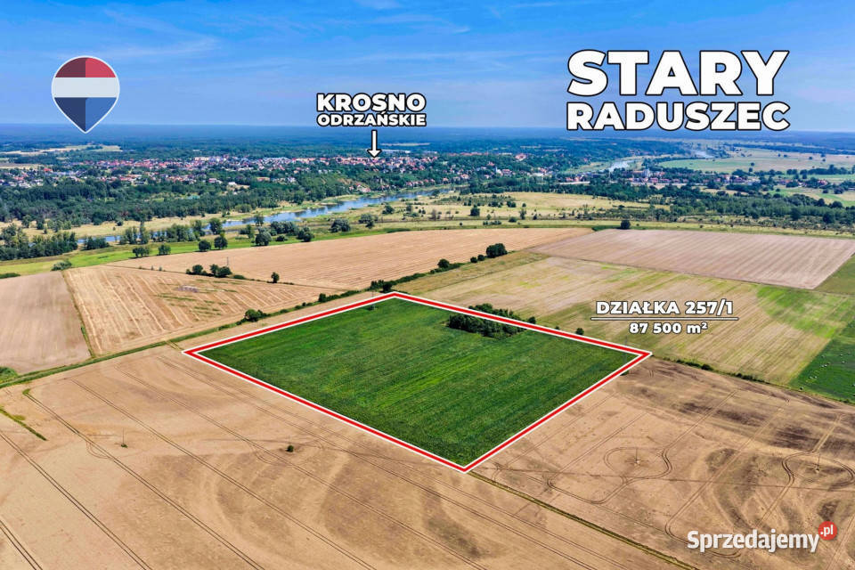 Na sprzedaż grunty orne RIIIa 875 ha Stary Raduszec sprzedam