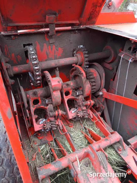 Sprzedam prase Sipme z2241 cała w orginale stan łódzkie Łowicz