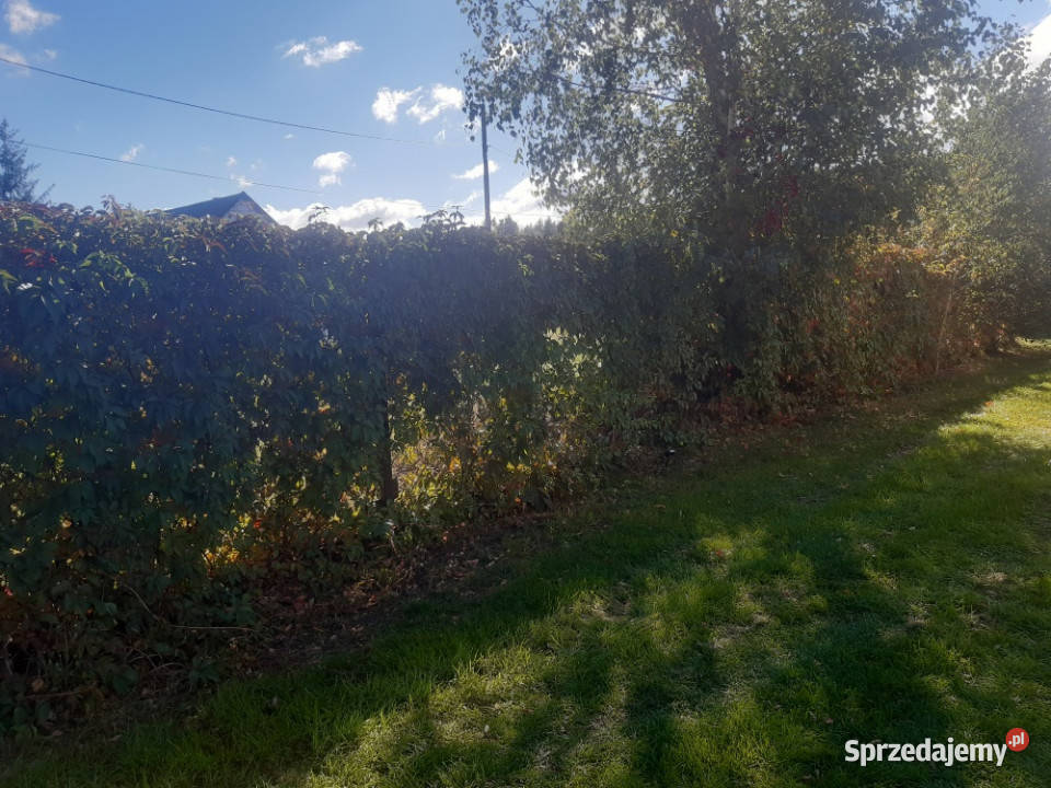 Sprzedam Dom na dużej działce Adampol