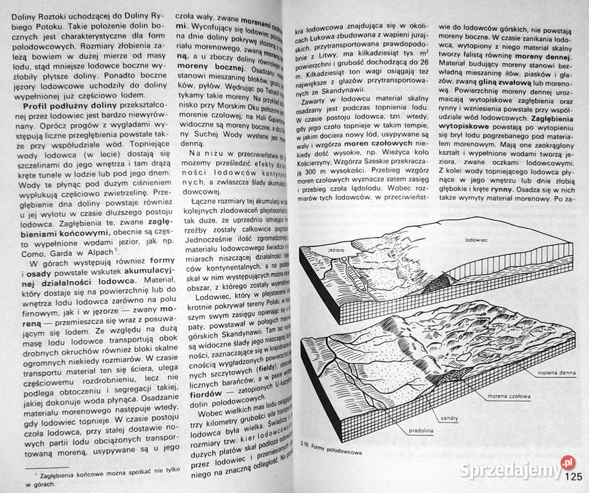 Geografia Ziemia i człowiek Anna Dylikowa Dorota Pozostałe Chełm