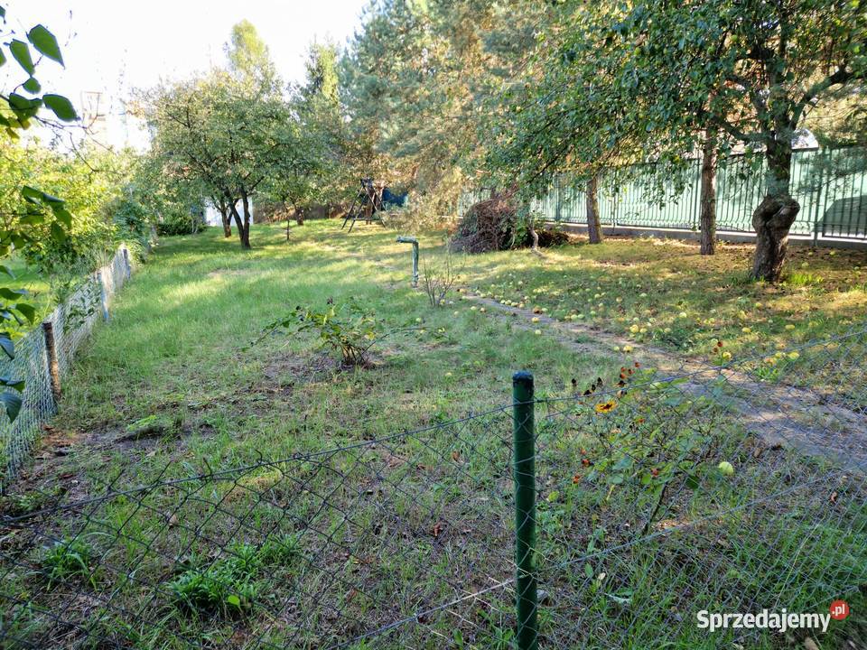 Ogródek Działkowy ROD Bajki kolonia Rozmaryn Sprzedaż