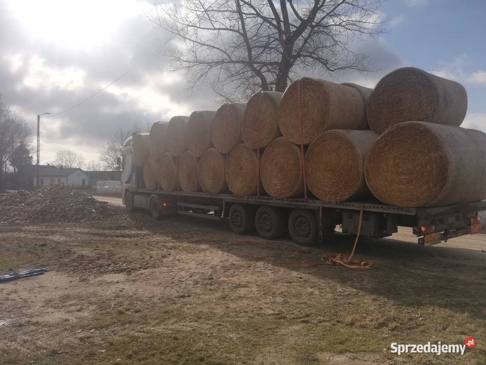 Sprzedam Bele 130 160 Zapewniam transport