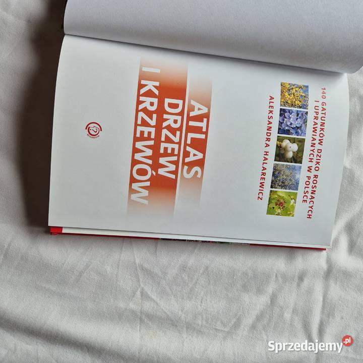 Atlas drzew i krzewów Polski piękna książka