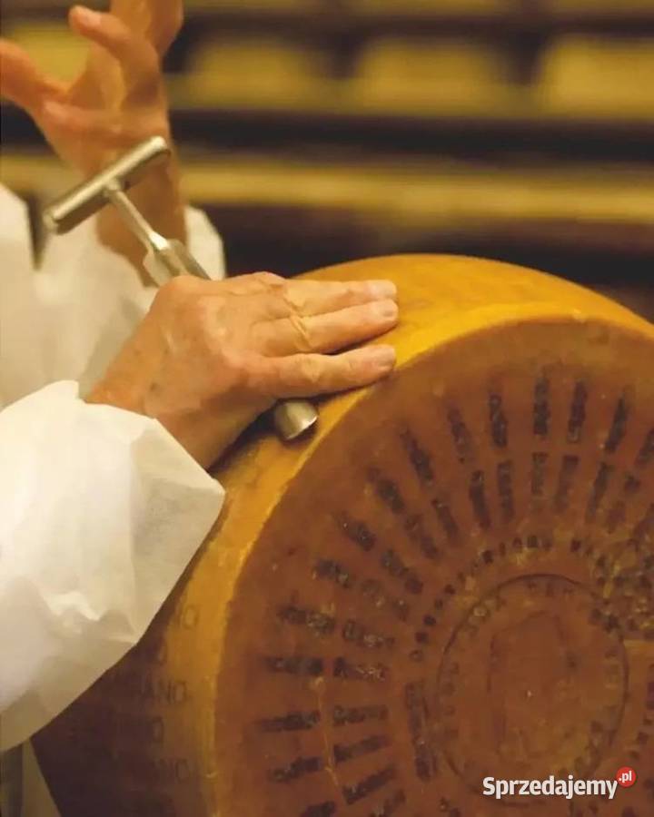 Parmigiano Reggiano 40 dojrzewanie 24 Miesiące Sery dolnośląskie Świdnica sprzedam