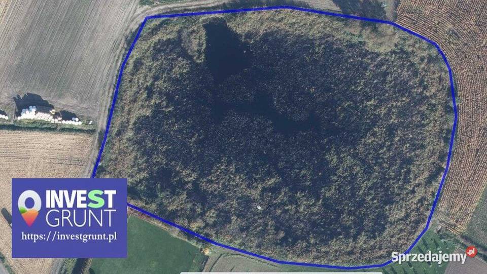 136 ha staw rybny przetarg na dzierżawę 13600m2 Uścięcice
