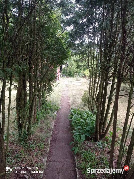 Działka ROD w Łowiczu rekreacyjna