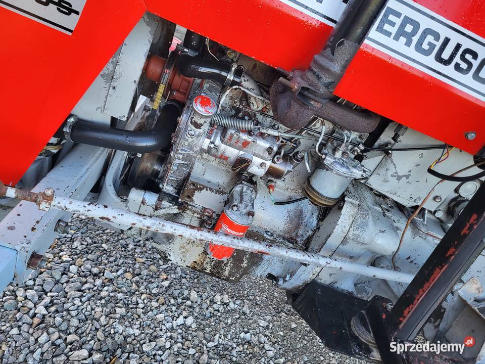 Mf 255 ferguson 255 Massey Ferguson podkarpackie Trzciana