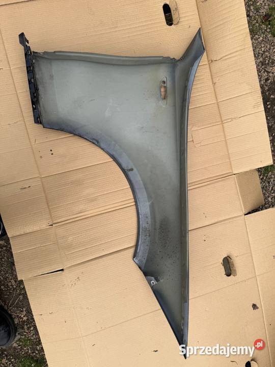 Błotnik lewy BMW 1 śląskie Częstochowa