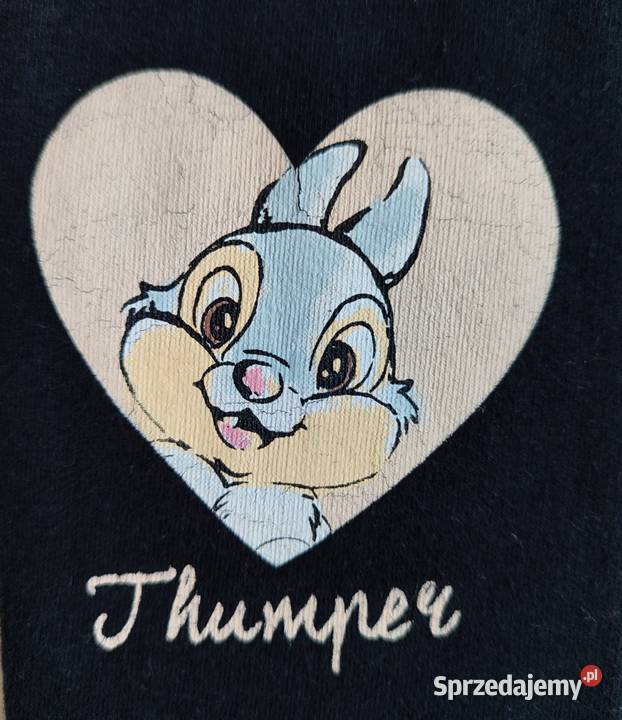 Komplet Disney Bambi Thumper 104 Katowice
