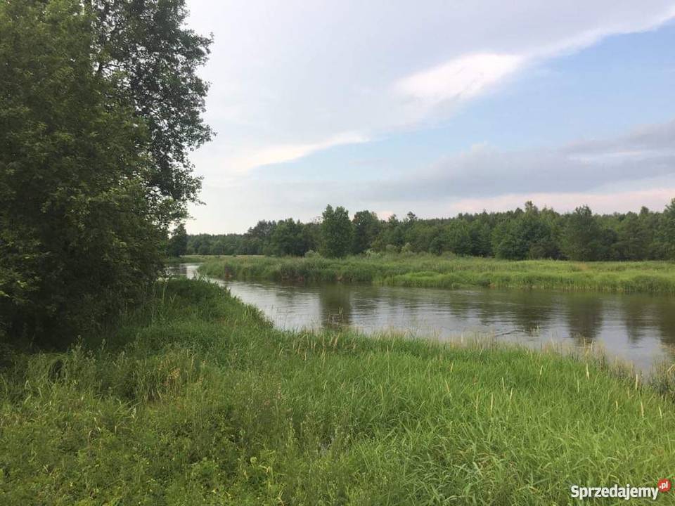 Działka rolnosiedliskowa 50300 m2 Pilicą 340m Łęg Ręczyński