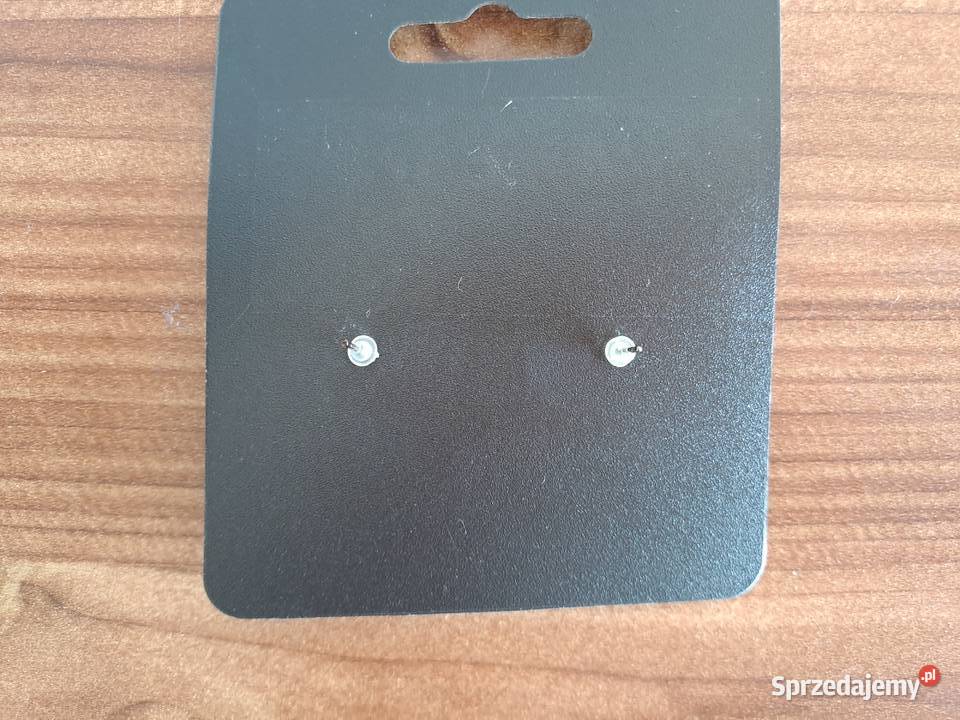 Kolczyki okrągłe gniazda gnizadka mazowieckie