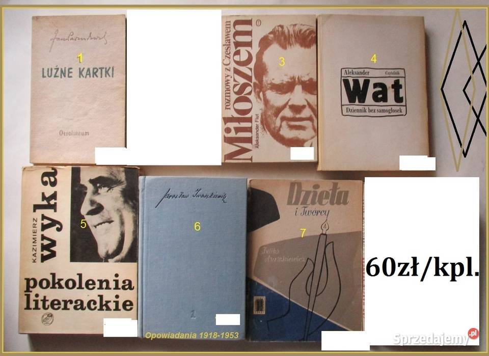 Przygody dobrego wojaka Szwejka Hasek wojna łódzkie Łódź