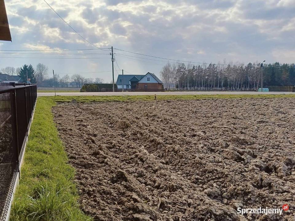 Działka w Pierszycach woda