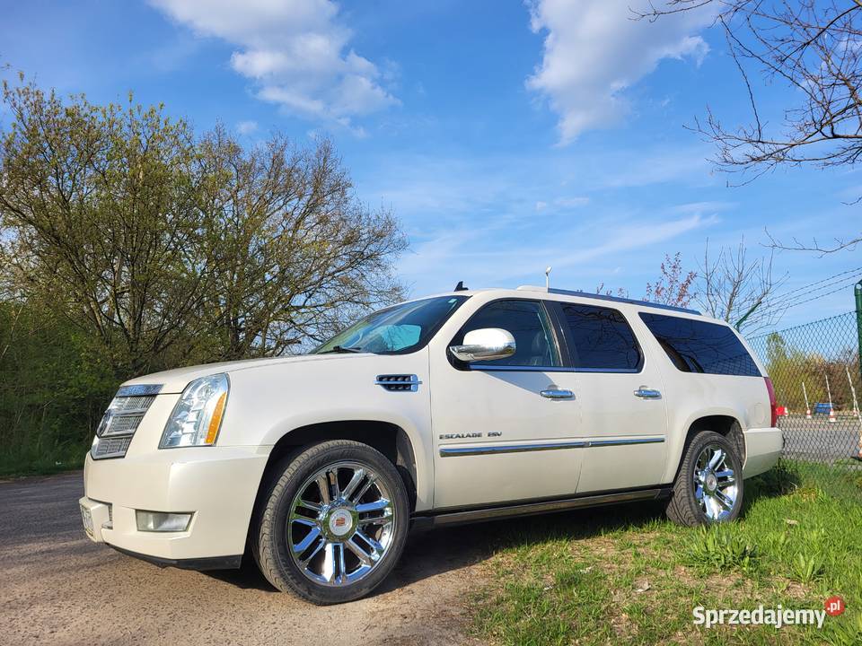 CADILLAC ESCALADE ESV PLATINUM 62 V8 BIAŁA PERŁA Poznań
