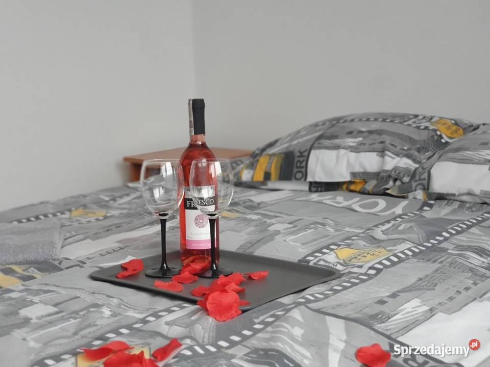 Tanie noclegi w przyjemnym Hostelu w sercu śląskie