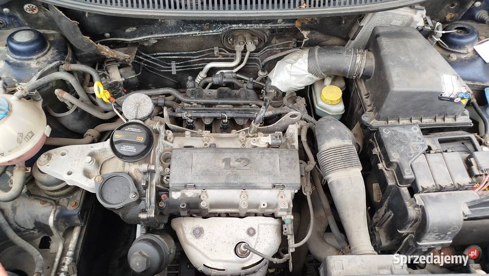 Vw Polo Niski Przebieg Dwóch Właścicieli Nowości Zarejestrowany w Polsce Bytów
